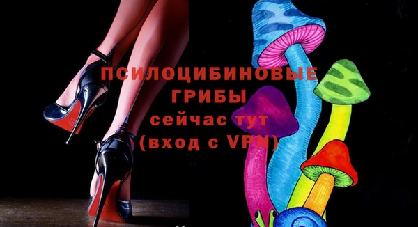 дурь Козельск
