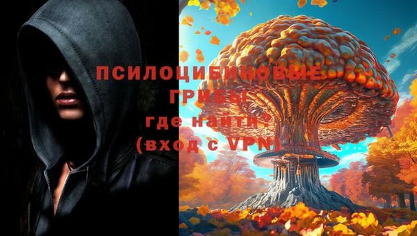 mix Козловка