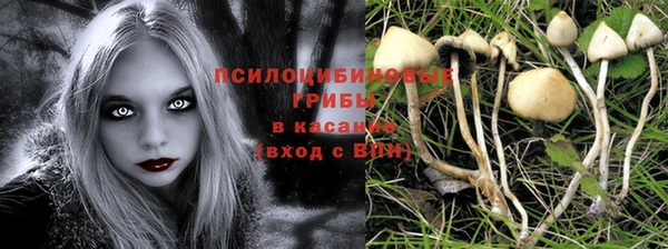 стаф Бабаево
