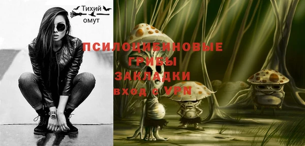дурь Козельск