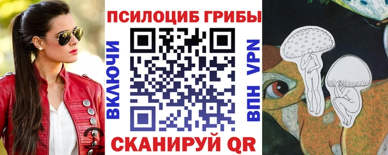Галлюциногенные грибы Psilocybe  цены   Михайловск 