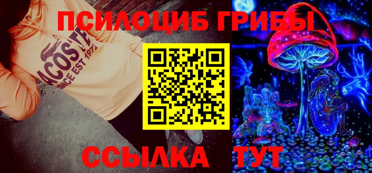 Михайловск  Галлюциногенные грибы GOLDEN TEACHER  купить  сайты  Вход с VPN  Галлюциногенные грибы Cubensis 