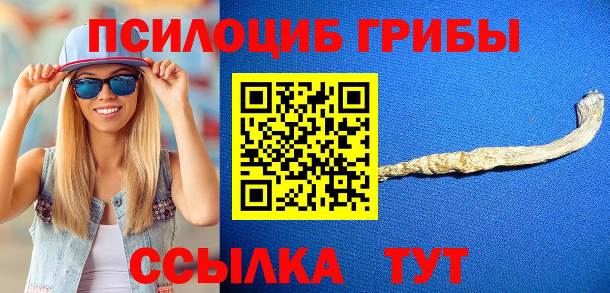 Псилоцибиновые грибы прущие грибы Михайловск